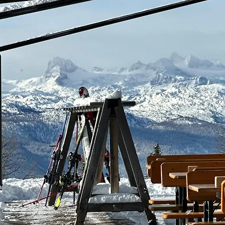 여관 Berggasthof Hollhaus *
